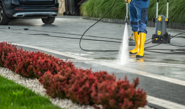 Best Patio and Deck Pressure Washing  in Longwood, FL